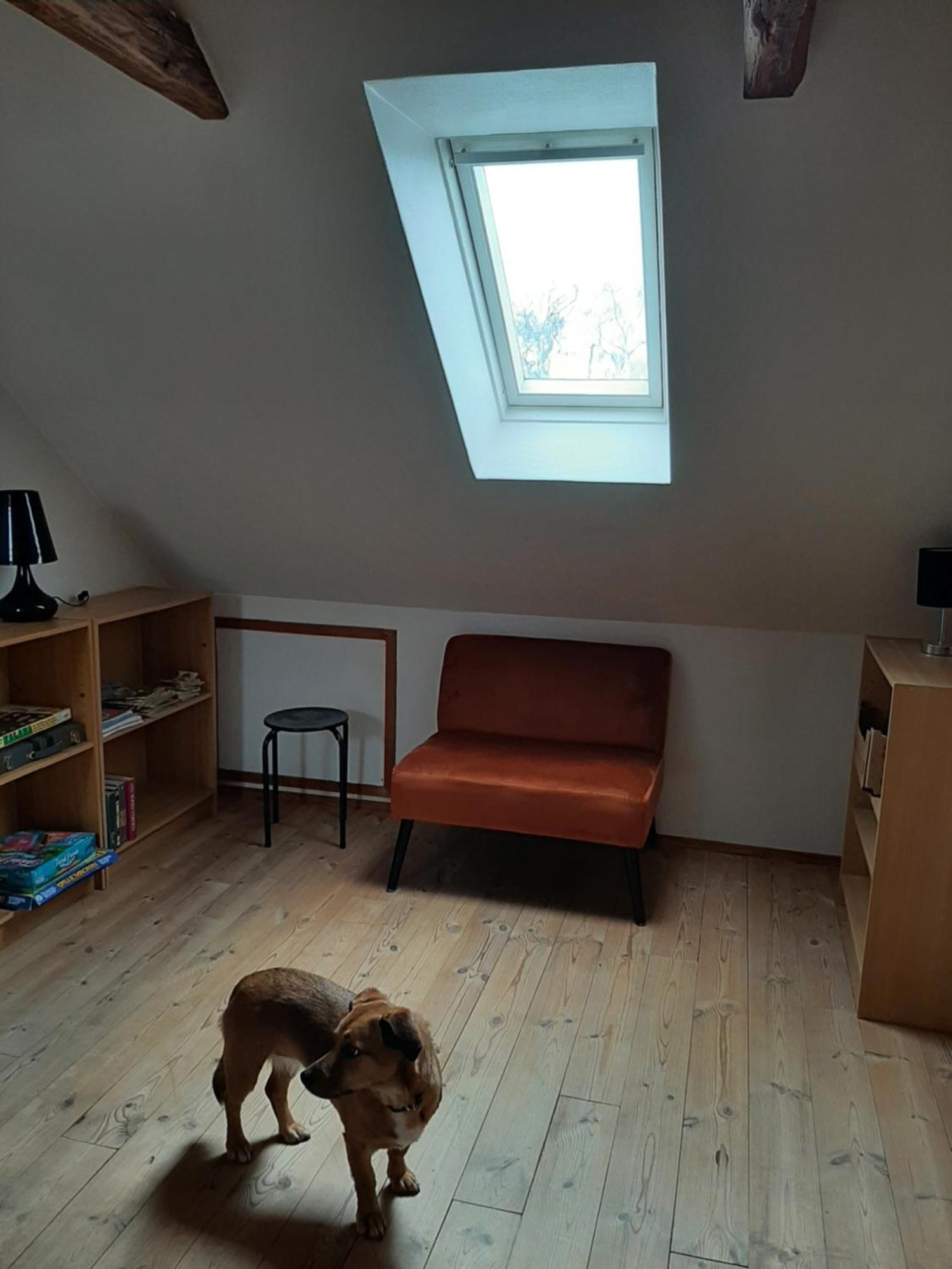 Stor Villa I Lendemarke Stege Ngoại thất bức ảnh